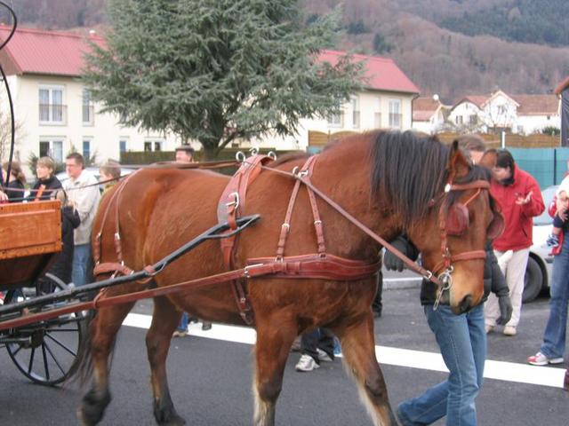 Foire aux andouilles 2006 Petite051