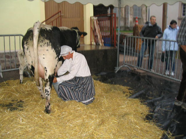 Marche d ete 4 aout 2006 Lait 005