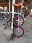 6 Marche d ete Velo solex (17) (Small)