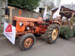 Foire aux andouilles 2024 (22) (Small)