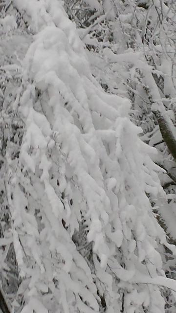 neige 2015 011 (Small)