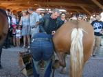 Marche d ete Cheval et marechalerie 022