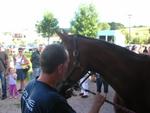 Marche d ete Cheval et marechalerie 025