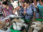 Marche d ete Ferme 015