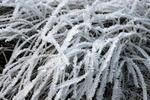 Givre et neige 2017