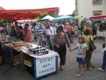 Marche d ete Bluet 037