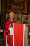 Pere Eveque Messe pentecote 038 (Small)