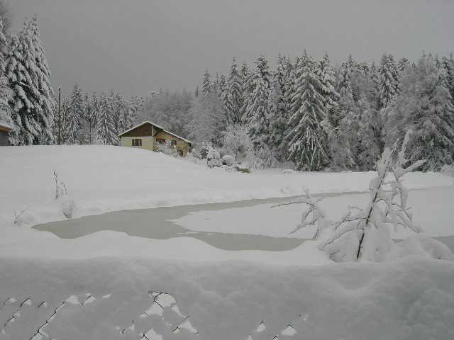 hiver 08 -12 -2012 008