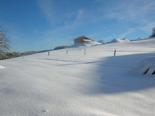 Neige dec 2012 003