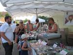 Marche d ete Plaisirs gourmands 035 (Small)