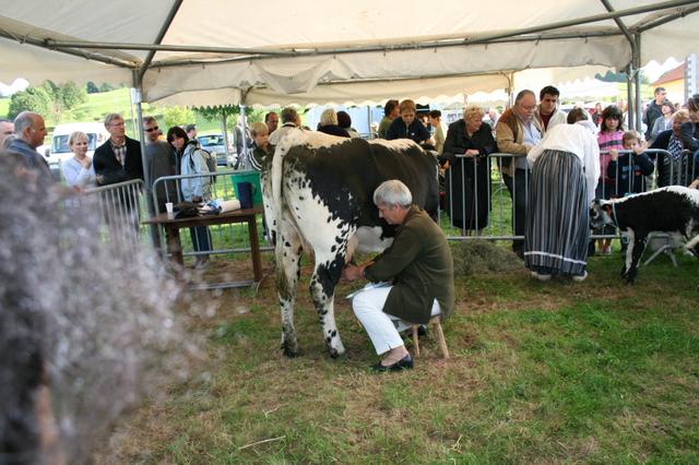 marche d ete 15 aout 2008 040