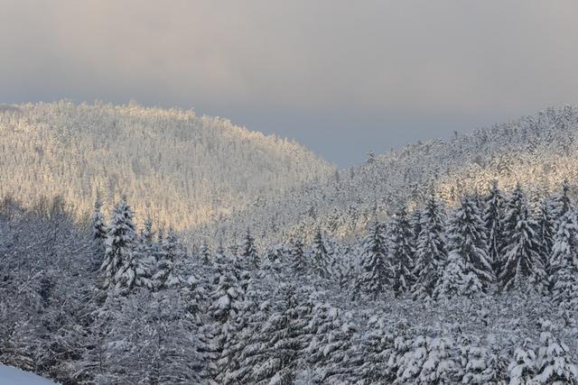 Claudine neige 2013 012