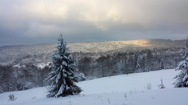 neige 2015 024 (Small)