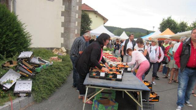 Marche d ete gestes d'antan 086 (Small)