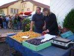 Marche d ete le bluet les plantes 015