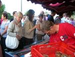 Marche d ete Artisans des lacs 022