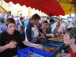 Marche d ete 18 aout 2006 Voitures anciennes (31)