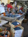 Marche d ete le bluet les plantes 017