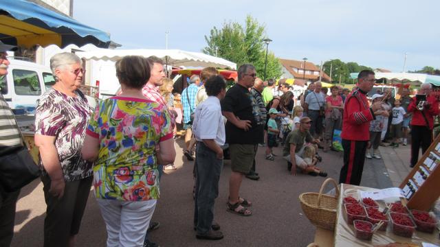 Marche d ete ouverture patois musique 2015 010