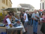 Marche d ete Bois 032