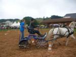 Marche d ete Cheval 010