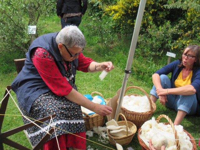 Transhumance 2019 (49) (Small)