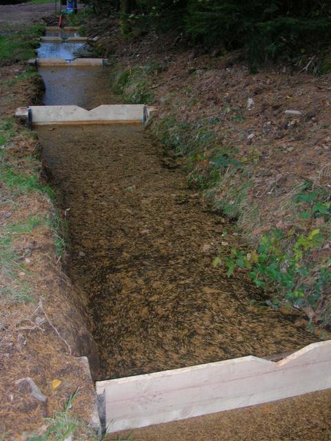 Villerain  16 novembre 2006 16 H Les bacs à poissons ont une séparation