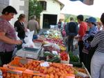 marche d ete voitures anciennes 056