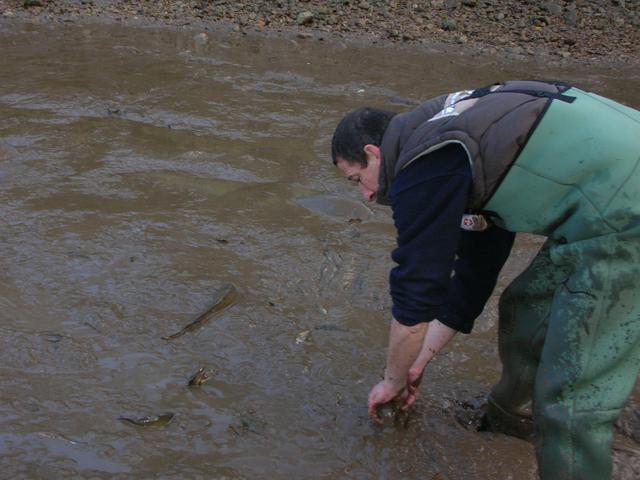 Vidange etang jean pour recuperer les carpes 008