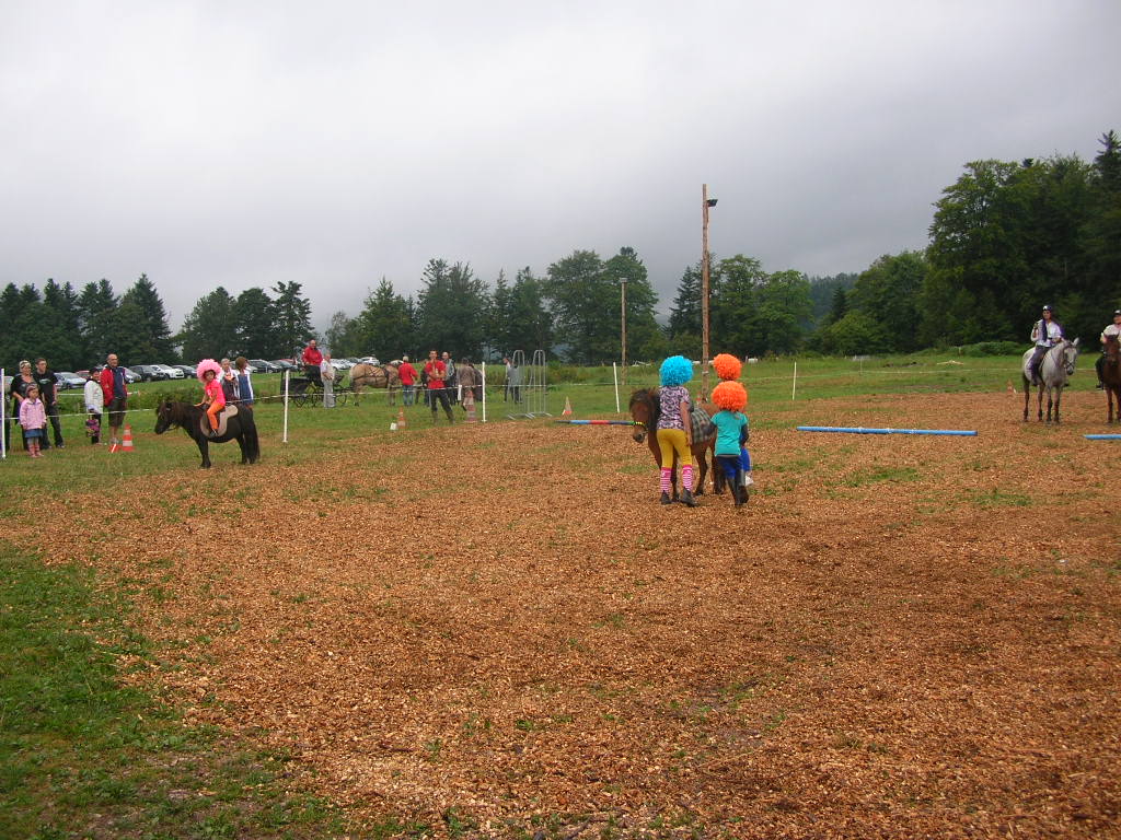 Marche d ete Cheval 002