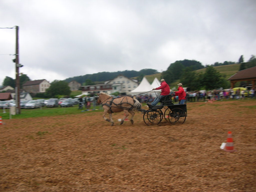 Marche d ete Cheval 007