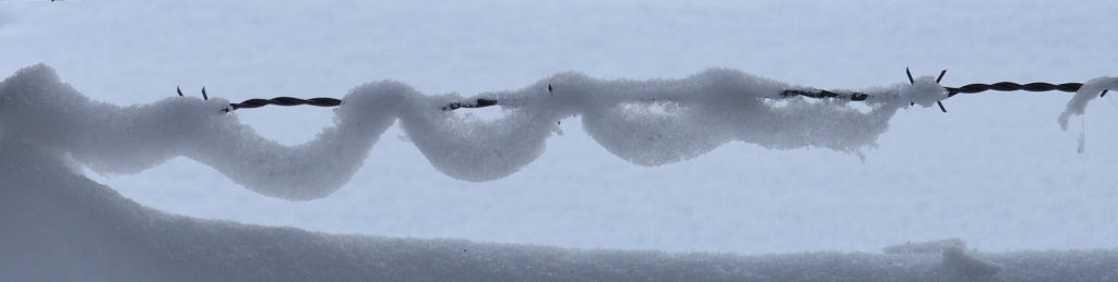 Claudine neige 2013 032