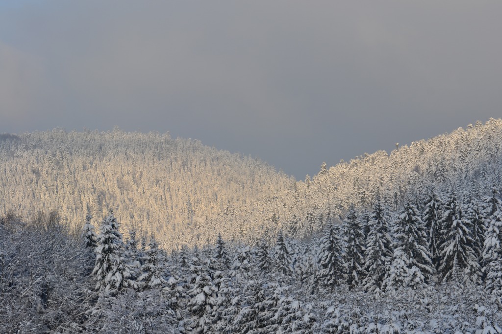 Claudine neige 2013 037