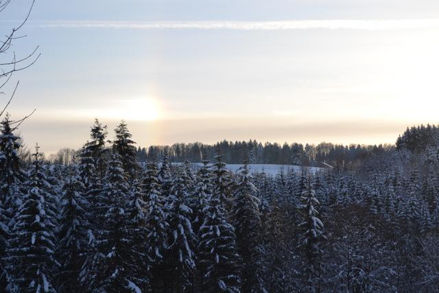 Claudine neige 2013 035