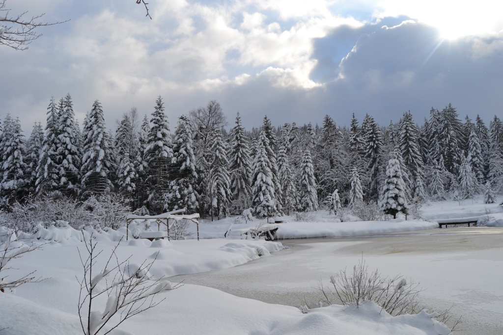 Claudine neige 2013 059