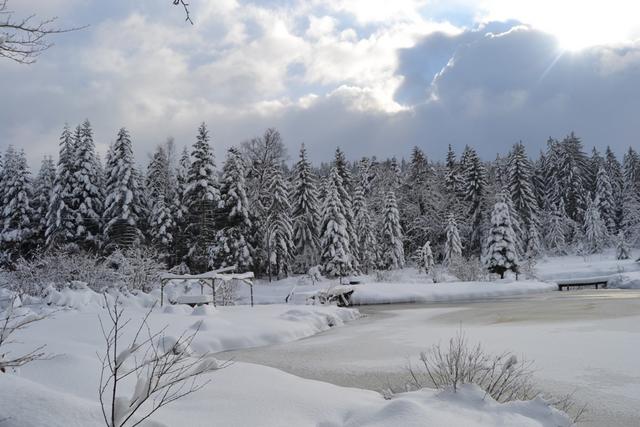 Claudine neige 2013 059