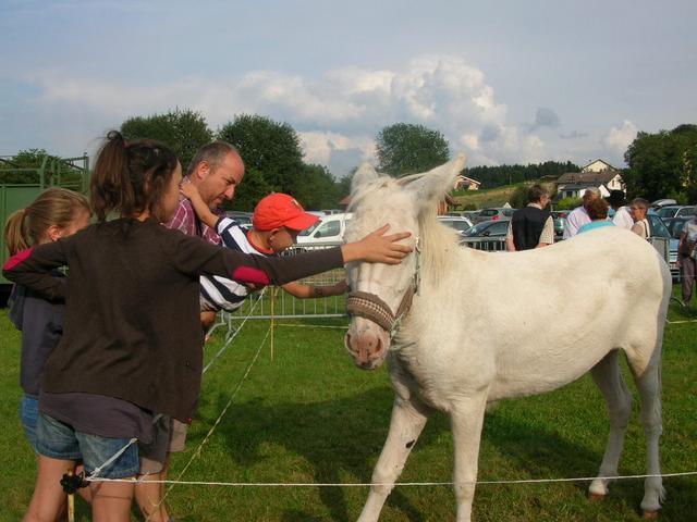 Marche d ete Ferme 011
