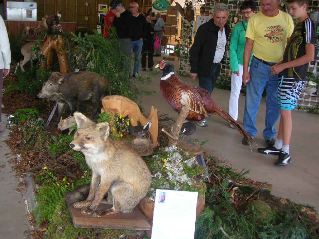 Marche d ete chasse 004