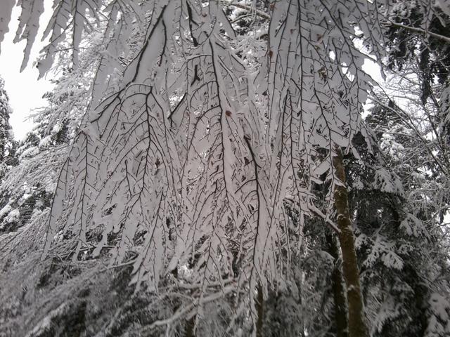 Neige Simone Portable 003