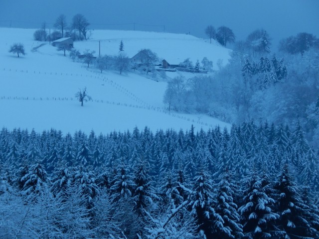 Gerard Petitjean (4) (Small)