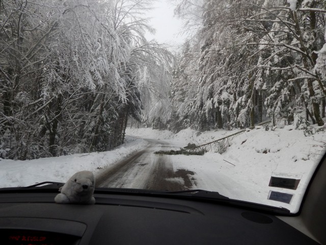 Gerard Petitjean 2 (2) (Small)