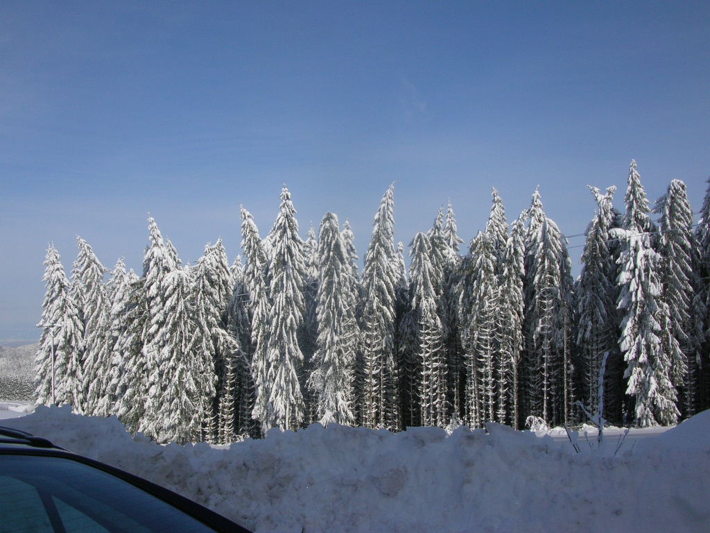 Neige 2 fevrier 2015 006