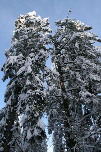 En descendant sur RMT