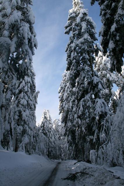 Entre Croisette et Gardes
