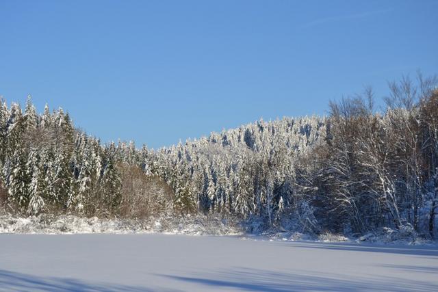 Neige Claudine fevrier 2015 014 (Small)