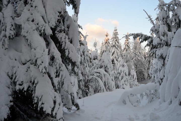 Neige Claudine fevrier 2015 065 (Small)