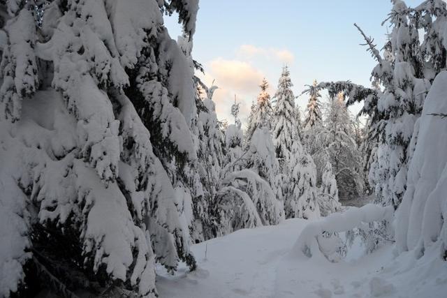 Neige Claudine fevrier 2015 065 (Small)