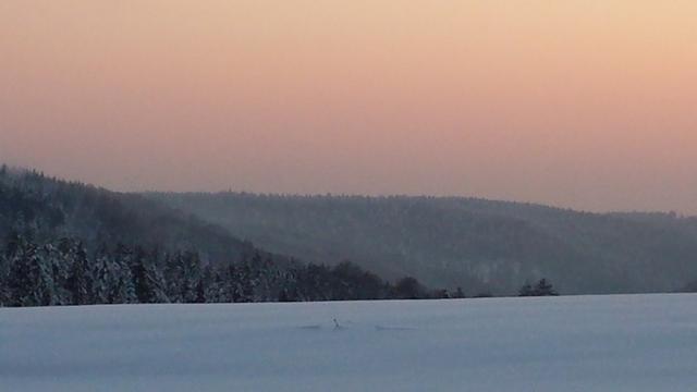 Neige Claudine fevrier 2015 058 (Small)