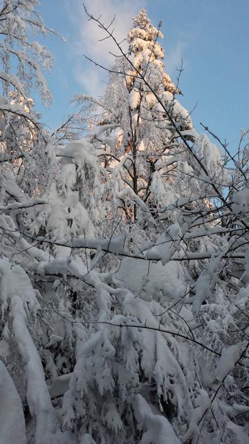 Neige Claudine fevrier 2015 047 (Small)