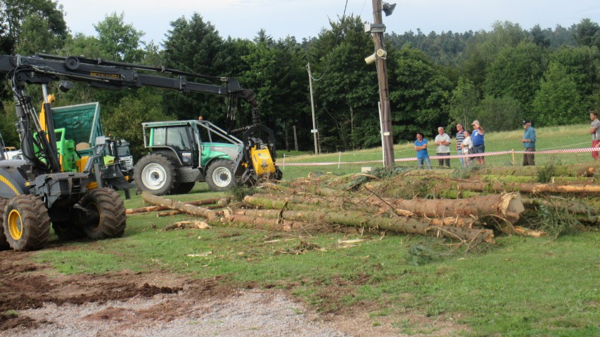 Marche d ete Exploitation mecanique de la foret 012 (Small)